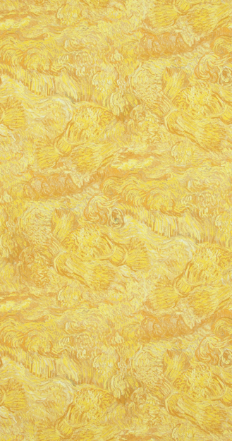 Afbeeldingen van BN Wallcoverings - Voca van Gogh (17170)