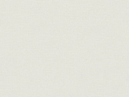 Afbeeldingen van BN Wallcoverings Texture Stories Naturel 218212 - Beige